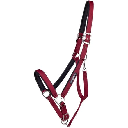 QHP HALSTER DELUXE TREKPAARD Rood