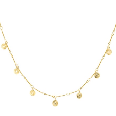 Bijoutheek Collier Munten Goud