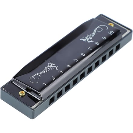 Harmonica 10 Trous 20 Tonalités Do Professionnel Standard avec Étui pour Enfant Débutant noir