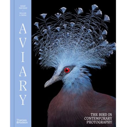 Aviary - William A. Ewing