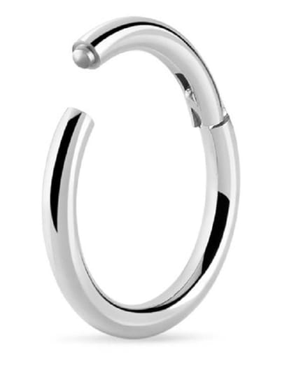 Titanium Segment Ring 8 mm (1,2 mm dik) met Scharnier – RH-Jewelry [High Quality Piercing]