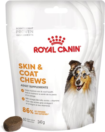 Royal Canin Skin & Coat Chews - 240 g - Hondensnacks