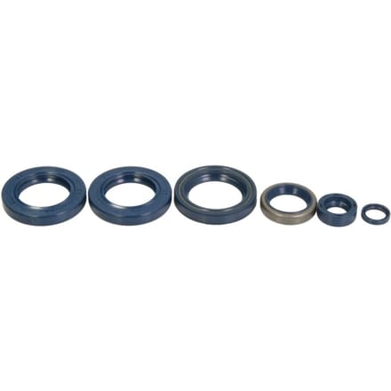 Motorpakkingen compleet ATHENA P400270400051