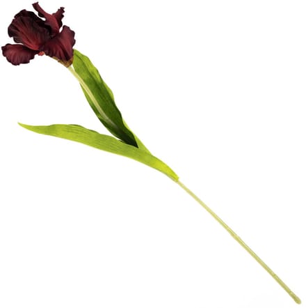 HomeBound by KY | Kunstbloem iris rood | kunstbloem | kunstbloem iris