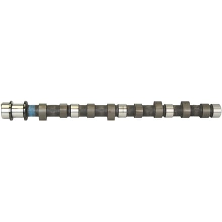 Nokkenas  AMC 664841
