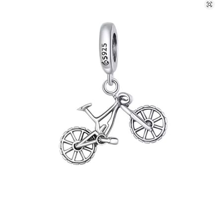 Bedel Fiets – Racefiets & MTB – 925 Zilver – RomyStones