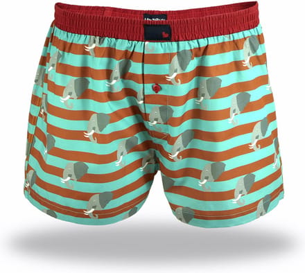 Unabux Boxer Afdrukken