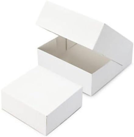 Kartonnen Taartdozen - Bakdozen - Taarten Vervoeren - Voedselveilig Materiaal - 29 x 29 x 8 cm - Wit