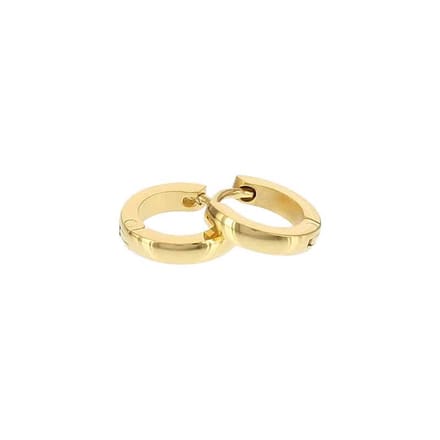 Kalli edelstalen Oorbel shiny rond 1897 Goud 10mm