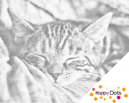HappyDots DOT Painting Slapende Kitten 30x40cm - Stippelschilderij