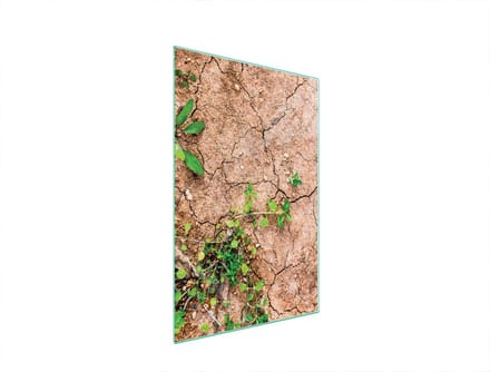 TMK ArtDeko - Snijplank - 35x52 cm - Rozen - Glas
