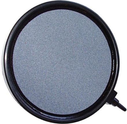 AquaForte Luchtsteen disk 10 cm Budget
