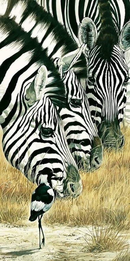 Kunstdruk Renato Casaro - Black and White 50x100cm