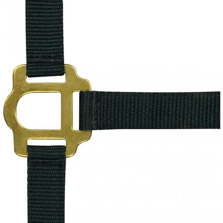 Halter Riding World