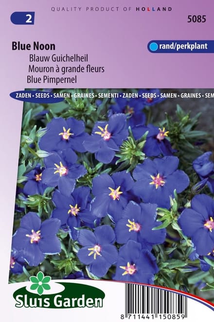Sluis Garden Blauw Guichelheil Blue Noon