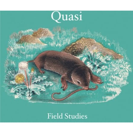 Field Studies - Quasi