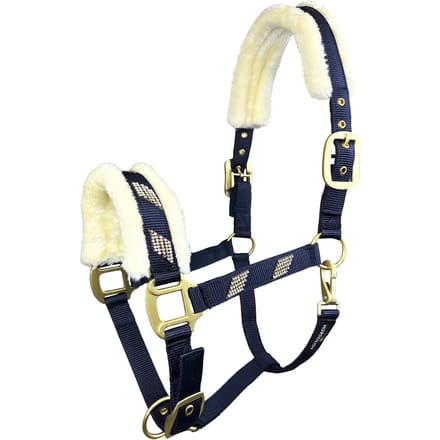 Bont halster voor paard Horsenjoy Tiffany