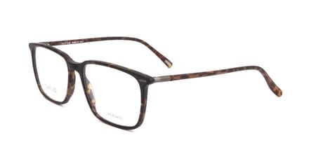 Safilo RIVETTO 02 Matte havana 56/17/145 MAN Brilmonturen