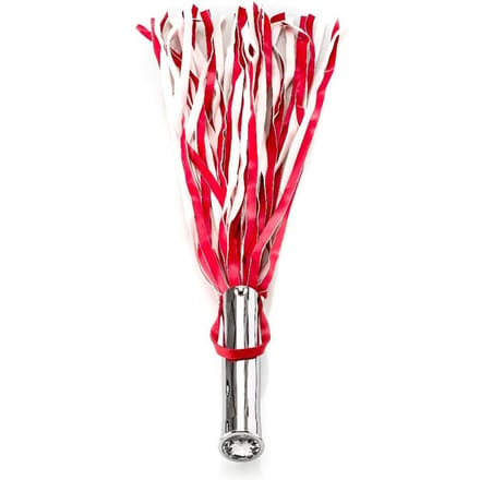 Double Fun Whip met Ribbed Butt Plug