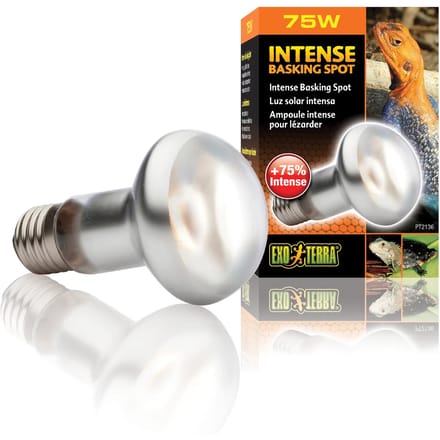 Terrarium lamp Exo Terra Intense Basking Spot 75W