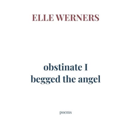 Obstinate I Begged The Angel - ELLE WERNERS