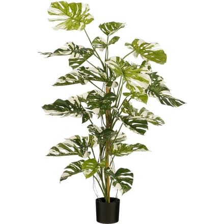 Mica Decorations Monsteraboom Kunstplant - H140 x Ø120 cm - Groen