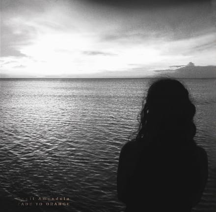 Scott Amendola - Fade To Orange (CD)