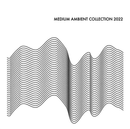 V/A - Medium Ambient Collection 2022 (LP)