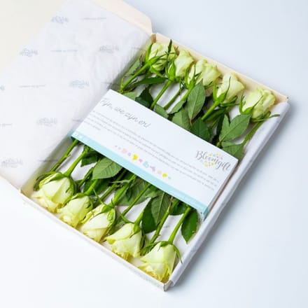 BloomKado | Brievenbus bloemen | Witte Rozen | 10 stelen | Brievenbuscadeau | Rozen per post