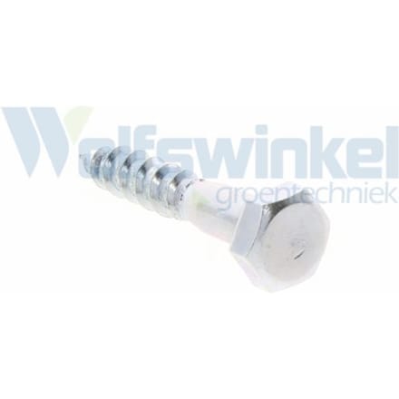 Hoenderdaal houtdraadbout gegalvaniseerd 6 x 30 mm din 571 - doos à 200 stuks