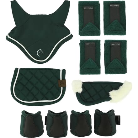 Mini accessoires set voor Hobby Horse Equithème (x5)