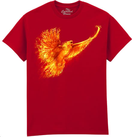 Phoenix Rising The Coloured House T-shirt M