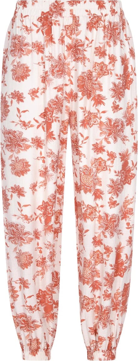 usha Broek