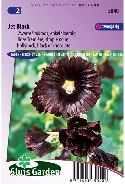 Sluis Garden - Stokroos Jet Black (Alcea rosea)