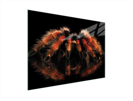 TMK ArtDeko - Snijplank - Gehard Glas - 40x30 cm - Antislip