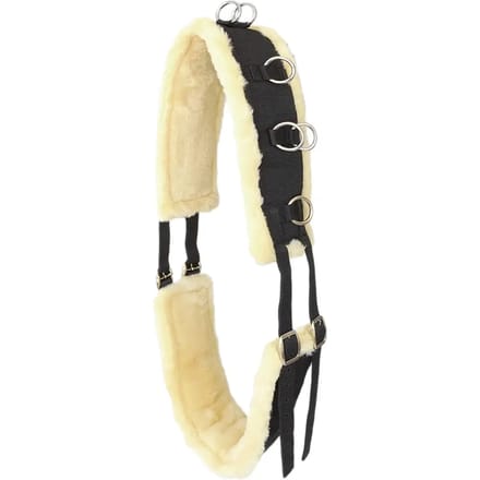 Surfplank voor paarden Hispano Hipica Doma