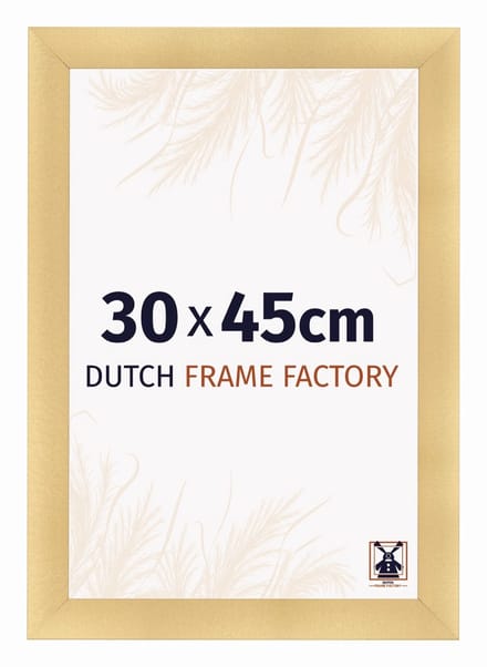 Fotolijst 30x45 cm - MDF - Goud Mat - Praag