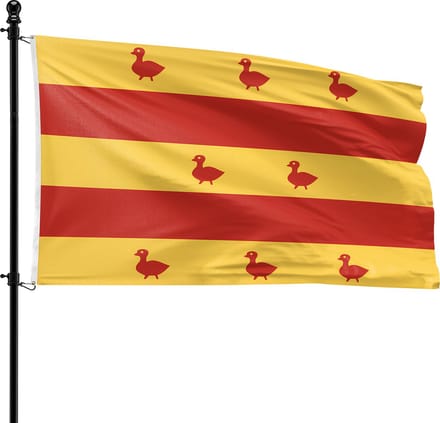 VlagDirect - Grave vlag - Gemeente Grave vlag - 90 x 150 cm.