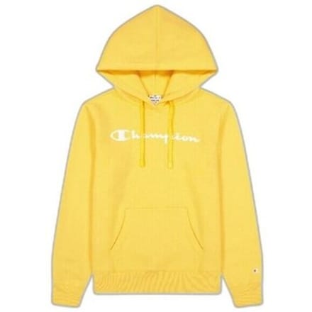 Capuchon sweaters Champion Legacy