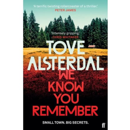 We Know You Remember - High Coast Series - Tove Alsterdal