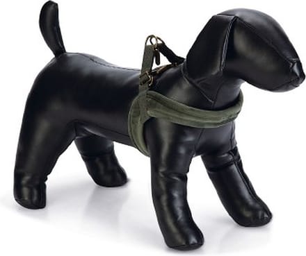 Designed by Lotte Velura - Hondentuig - Groen - M - 20 mm x 58 cm