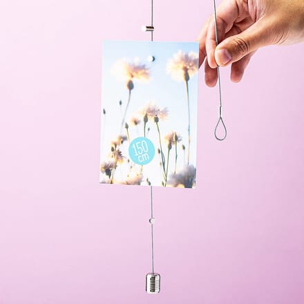 Steely Dan 200 cm - photo cord with 15 magnets