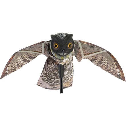 Prowler Uil met Bewegende Vleugel Tuinvogelverschrikker Roofdier Lokvogel Ongedierte gray
