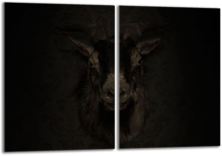 TMK ArtDeko - Snijplank - Glas - 40x52cm - Beschermpaneel