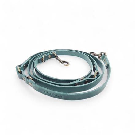 Cooper & Quint Switch Verstelbare Leren Hondenriem - Groen - 2 cm - Oud Messing