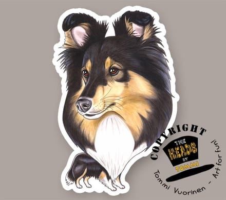 Magneet Hond Shetland Sheepdog, tricolor