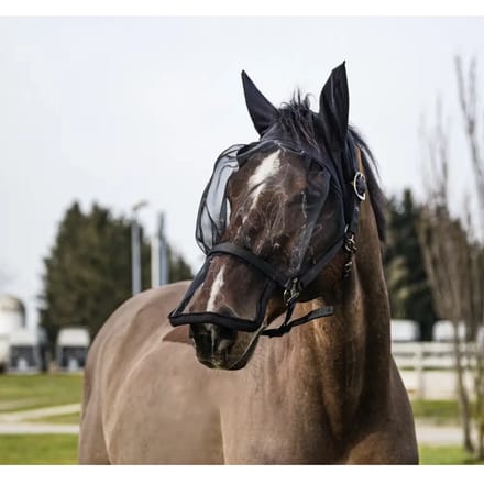 Halster en antivliegen uv maskervoor paarden Equithème