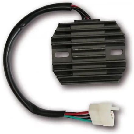 Aanpasbare regelaar Electrosport Kawasaki