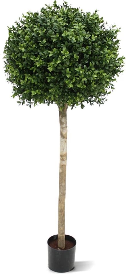 Kunst Buxus bol op stam 110cm - UV bestendig