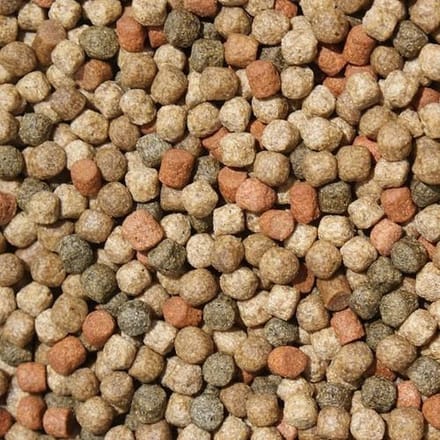 Koivoer Japanse Mix (15KG)(3mm)